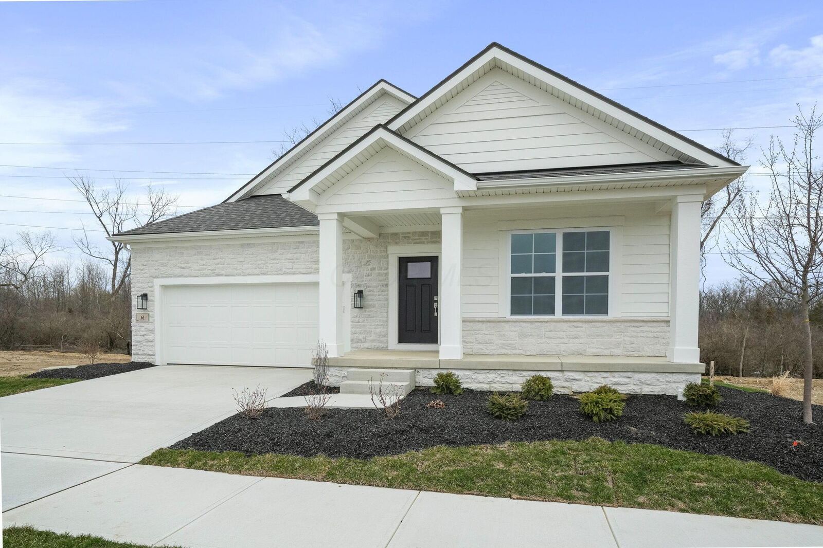 Property Photo: 61 Corsica Way OH 43015