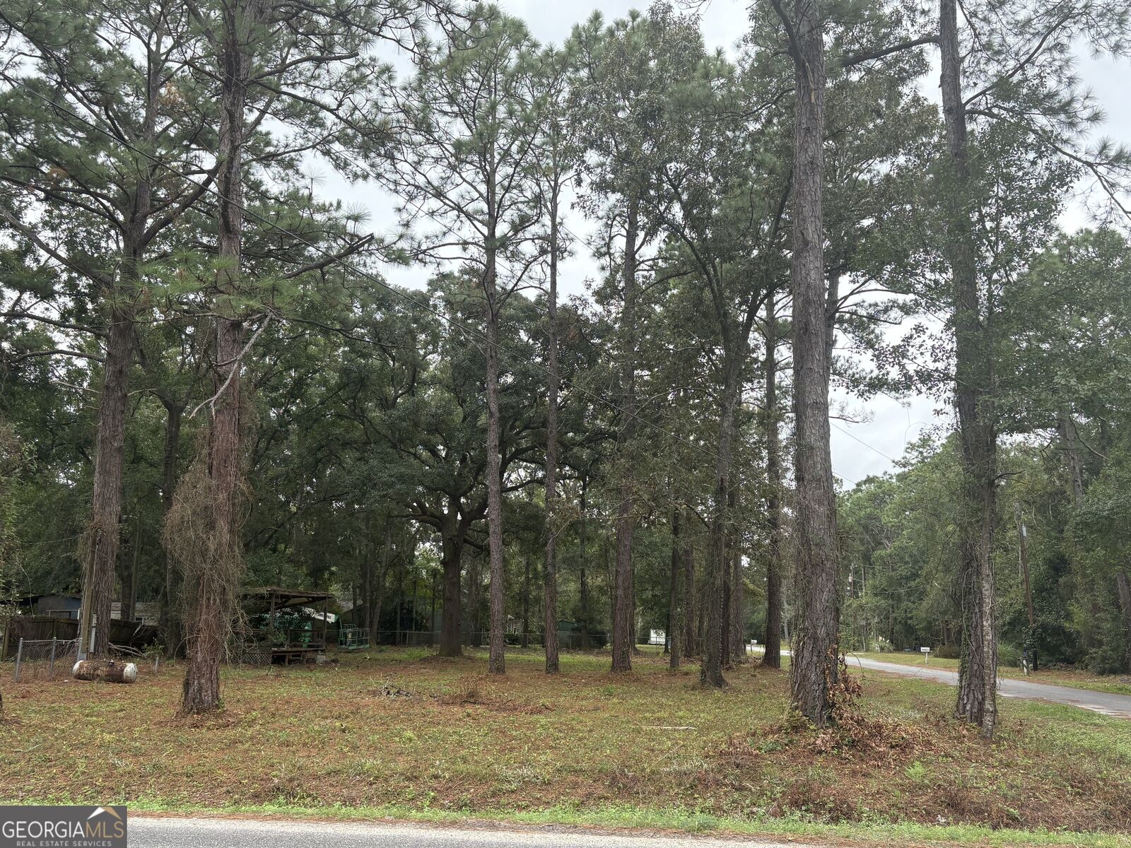 Property Photo:  102 Ritch Drive  GA 31525 