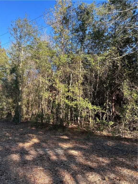 Property Photo: 0 Lee Road 004 AL 36832