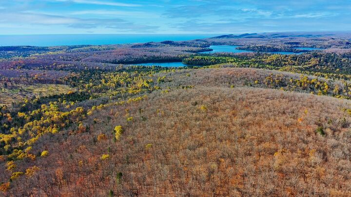 Property Photo:  Xx W Deeryard Lake Rd  MN 55612 