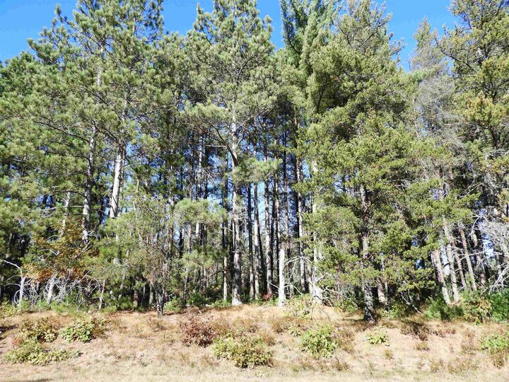 Property Photo: 27xx Ellison Lake Rd WI 54873
