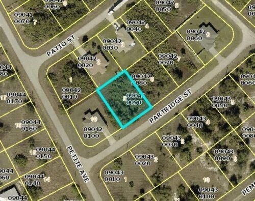 Property Photo: 307 Partridge Street FL 33974