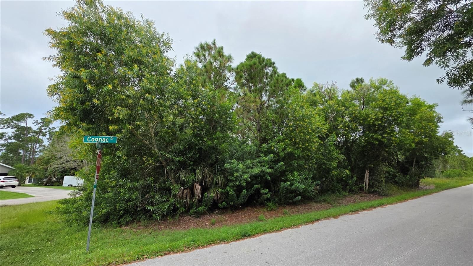Property Photo:  12339 Cognac Drive  FL 33955 