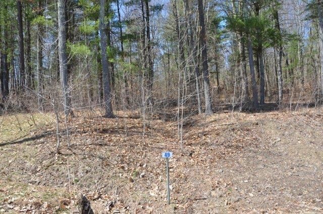 Property Photo: Lot 49A Hemlock Hills Rd PA 18848