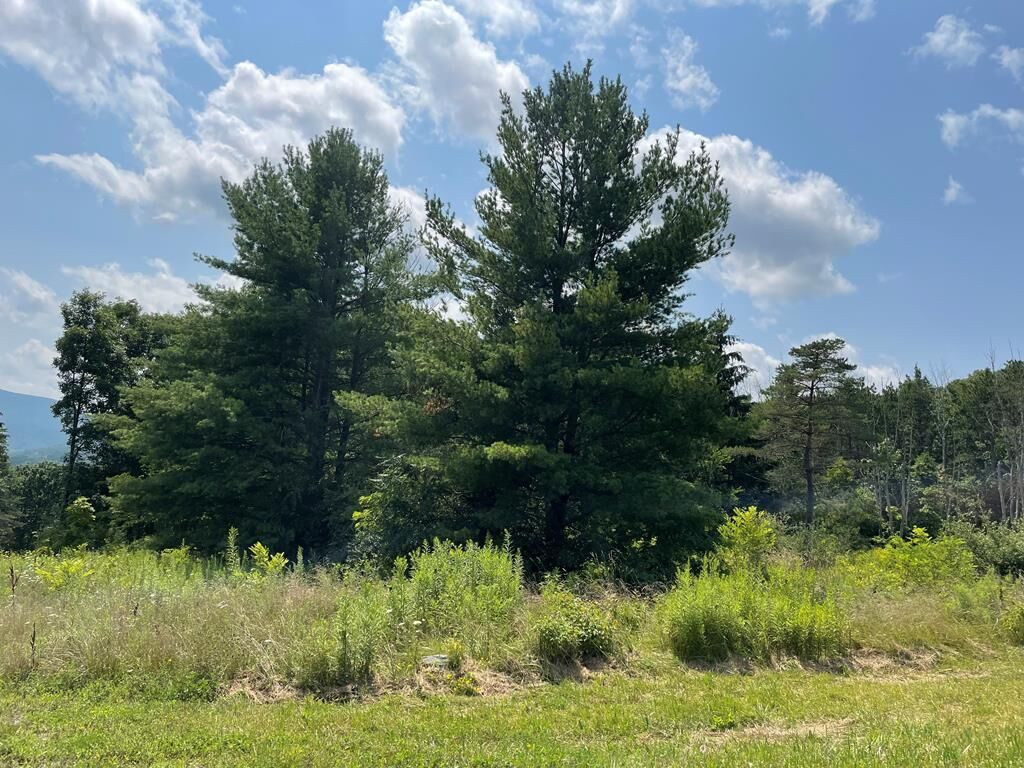 Property Photo: Lot 6A Hemlock Hills Rd PA 18848