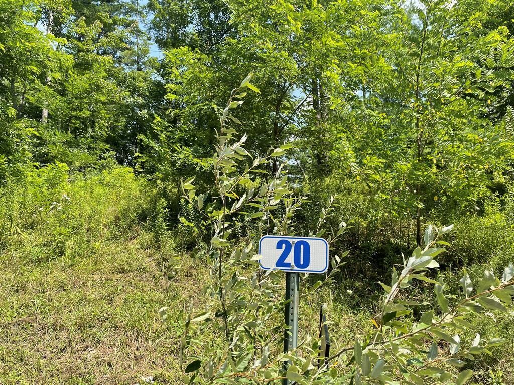 Property Photo: Lot 20A Hemlock Hills Rd PA 18848