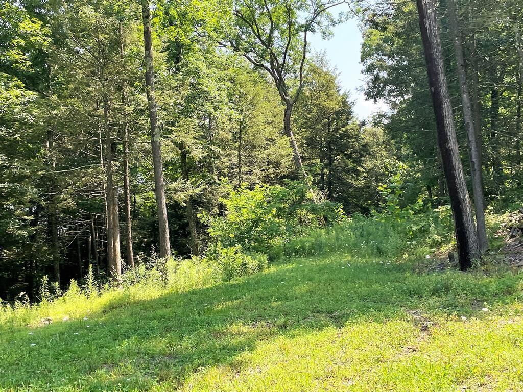 Property Photo: Lot 37A Hemlock Hills Rd PA 18848