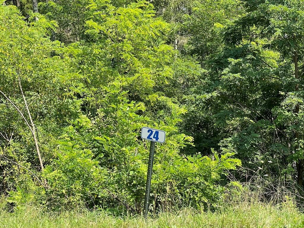 Property Photo: Lot 24A Hemlock Hills Rd PA 18848