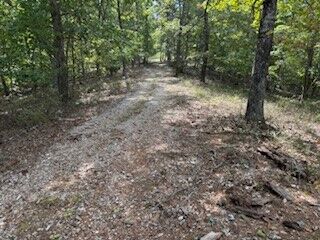 Property Photo:  Lots 12-13-14 Cr 152  AR 72632 