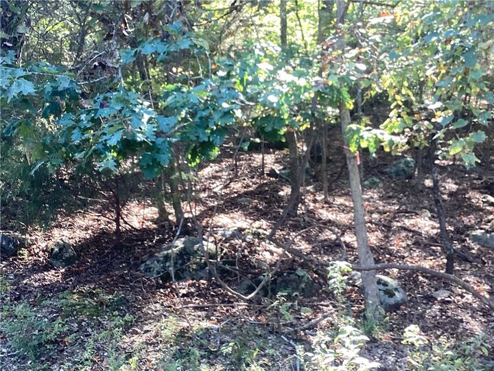 Lot 86 White Oak  Rogers AR 72732 photo