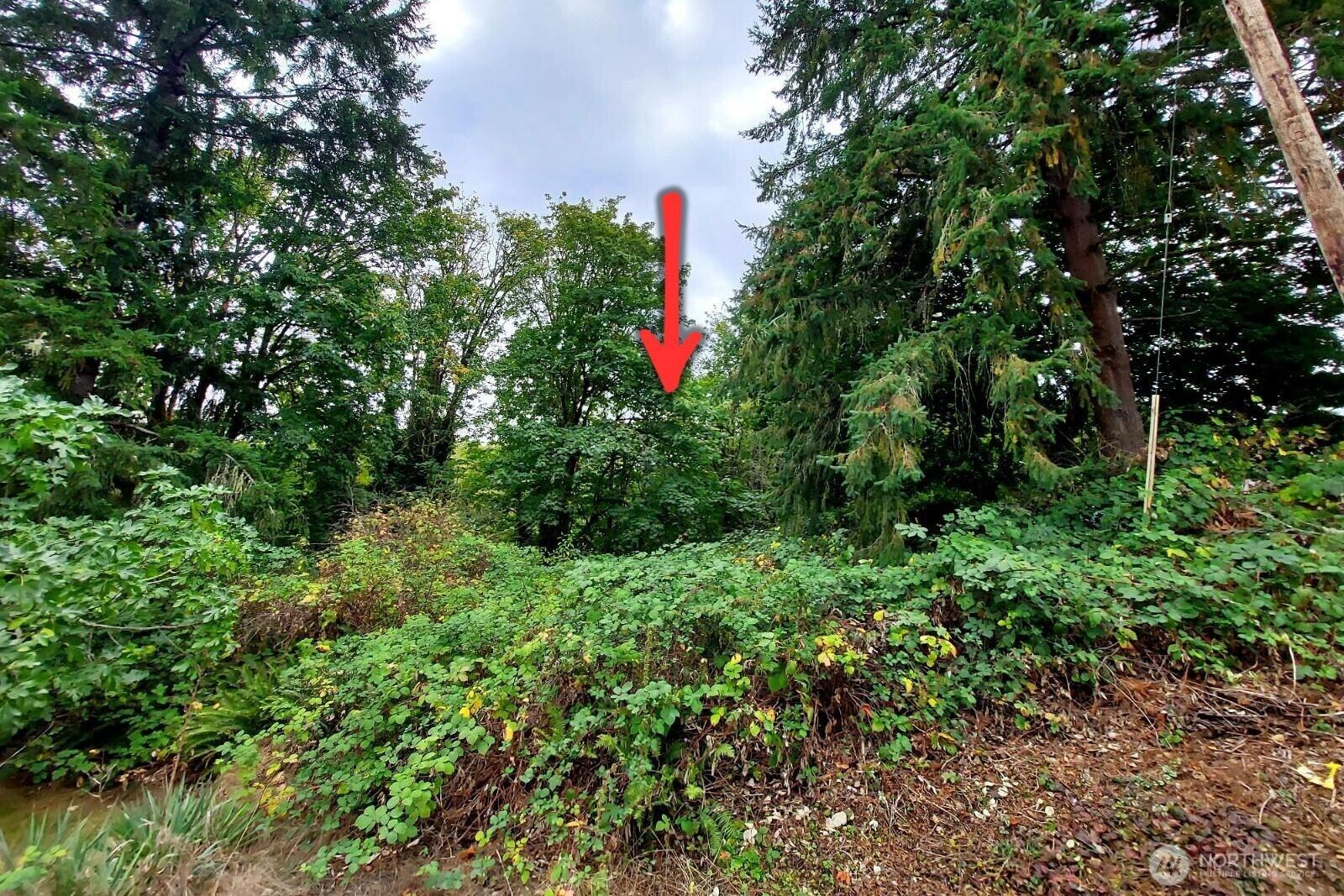 Property Photo: 0 Lot C Melcher St WA 98366