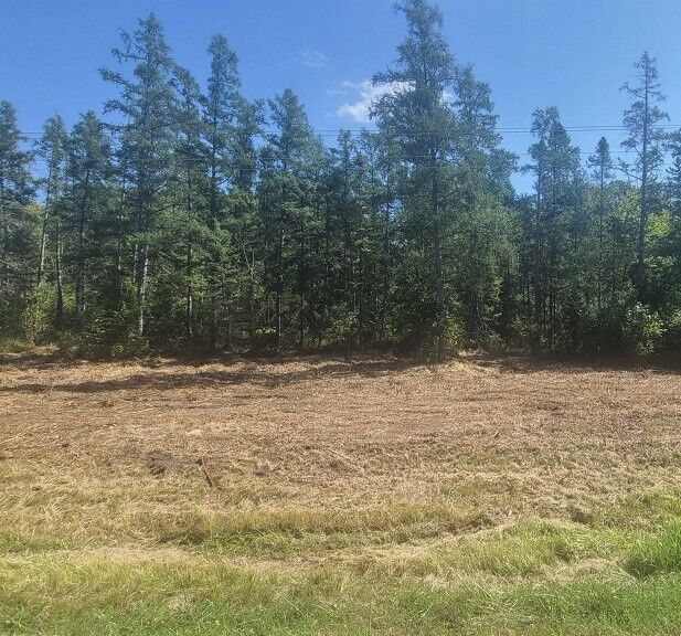 Property Photo: Xx Hwy 77 WI 54859