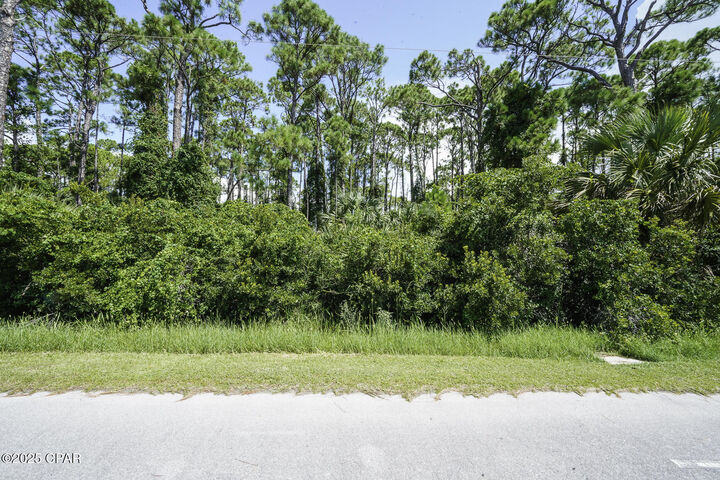 Property Photo:  Tbd Cape San Blas Rd  FL 32456 