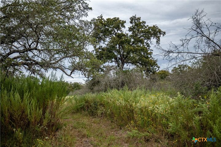 Property Photo:  1078 Mueller Lang Road  TX 77954 