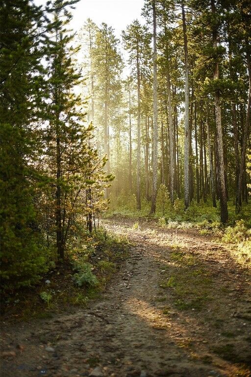 Property Photo:  Tbd Ulery'S Lakes Road - Lot 13A  MT 59716 