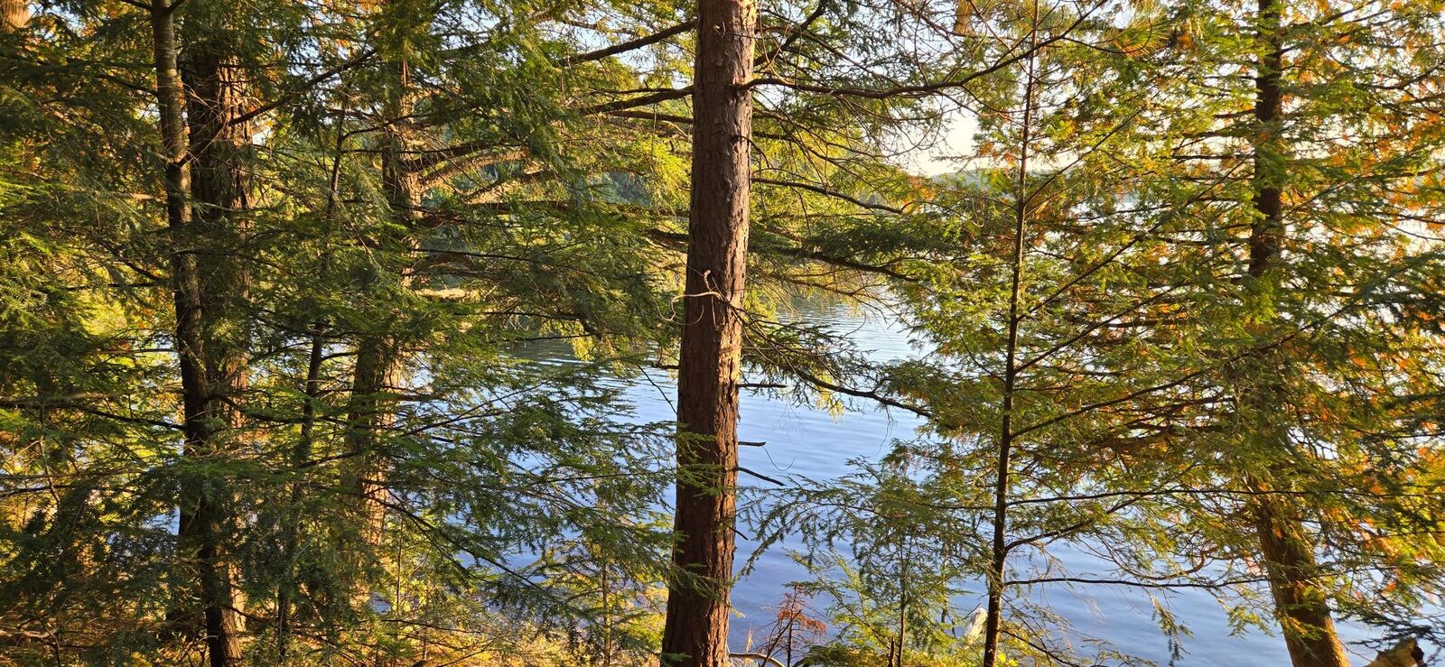 Property Photo:  Lot 1 Bartsch Rd  WI 54557 