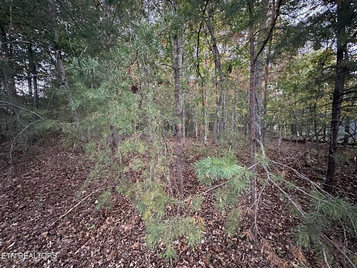 Property Photo:  135 Lechmere Drive  TN 38558 
