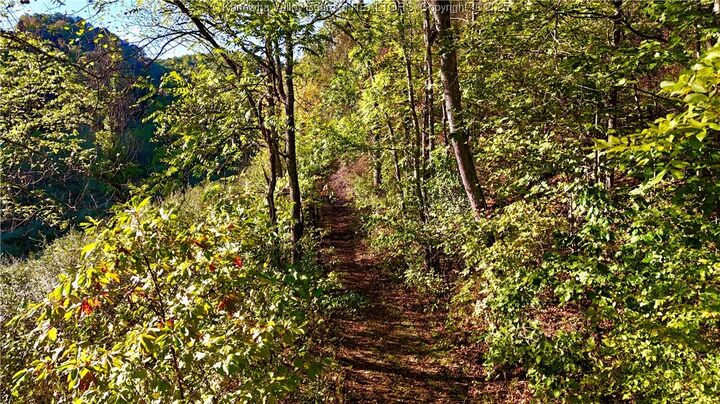 Property Photo: 0 Harmons Creek Road WV 25159