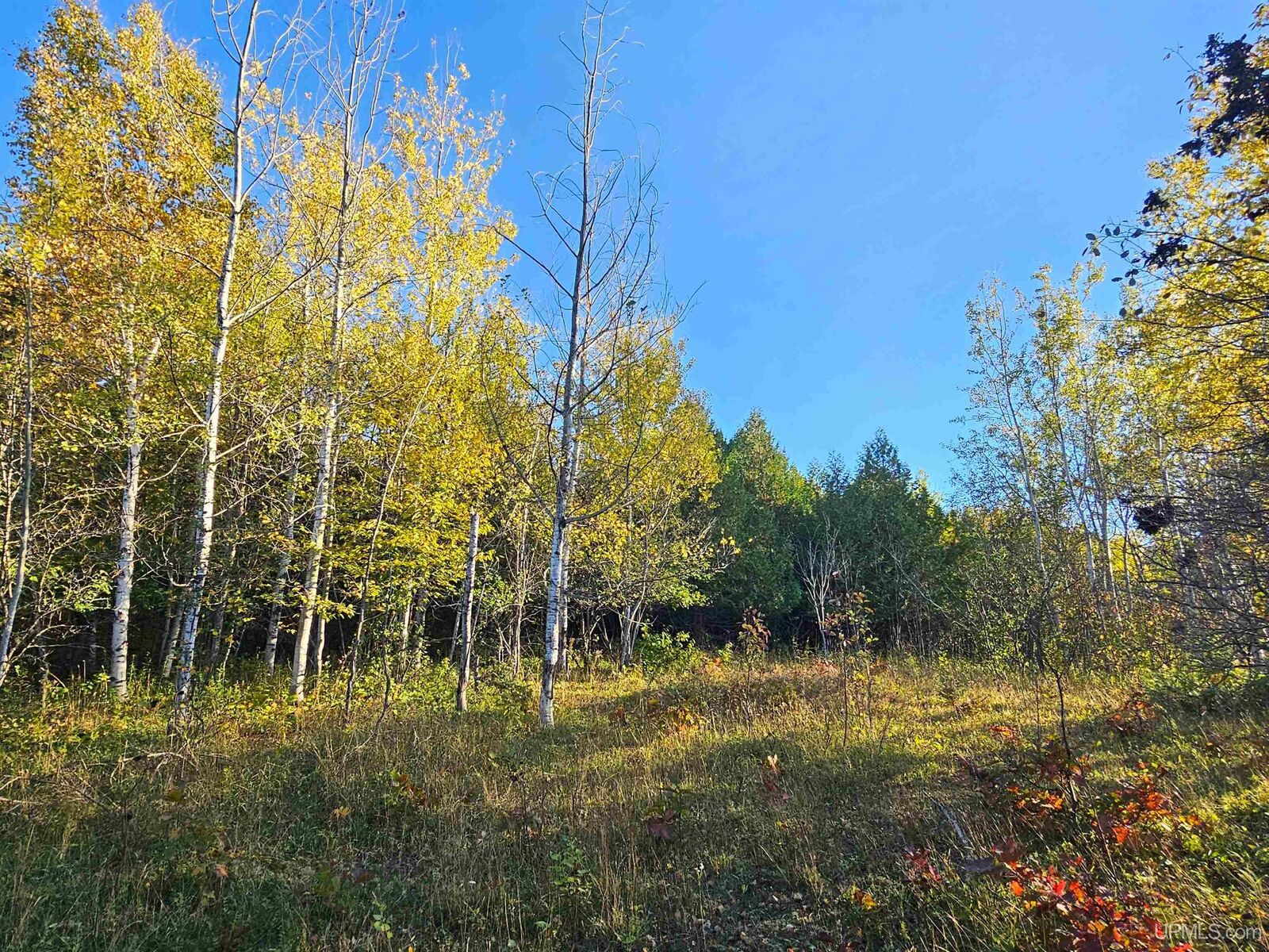 Property Photo: Tbd Dextrom Road MI 49913