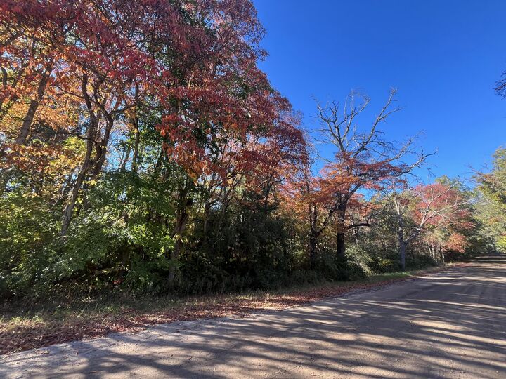 Property Photo:  Vl Sweeter Road  MI 49457