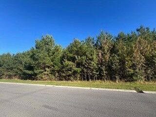 Property Photo:  0 Seminole Ln  TN 37355