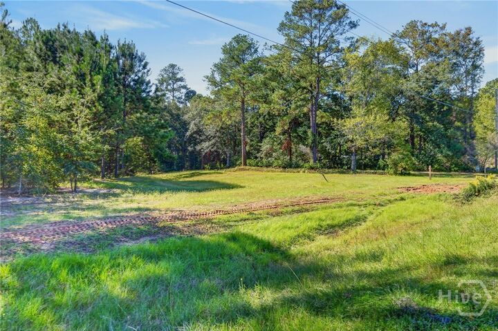 Property Photo:  1633 Fort Howard Road  GA 31326 