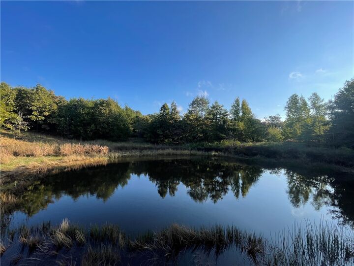 Property Photo:  10 Acres Cr 9204  AR 72611 