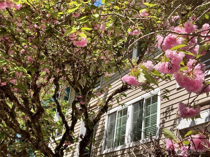 Property Photo: 9822 NE 122nd Street U201 WA 98034