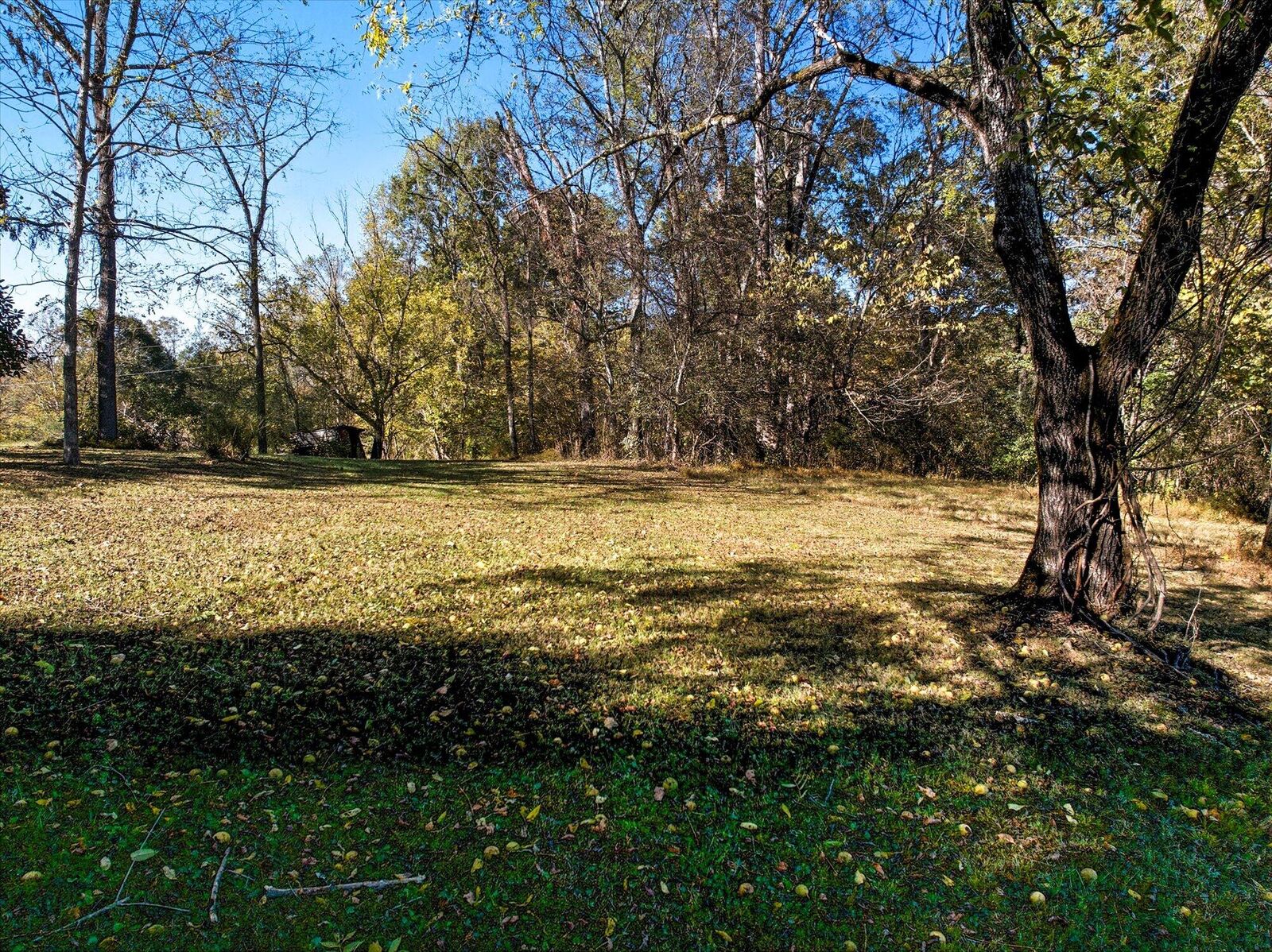 Property Photo: 982 County Road 229 TN 37826