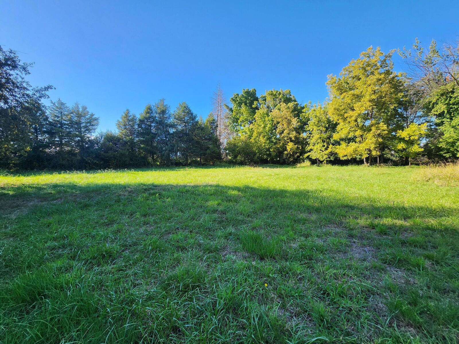 Property Photo: 8224 Green Acres Lane CA 96002