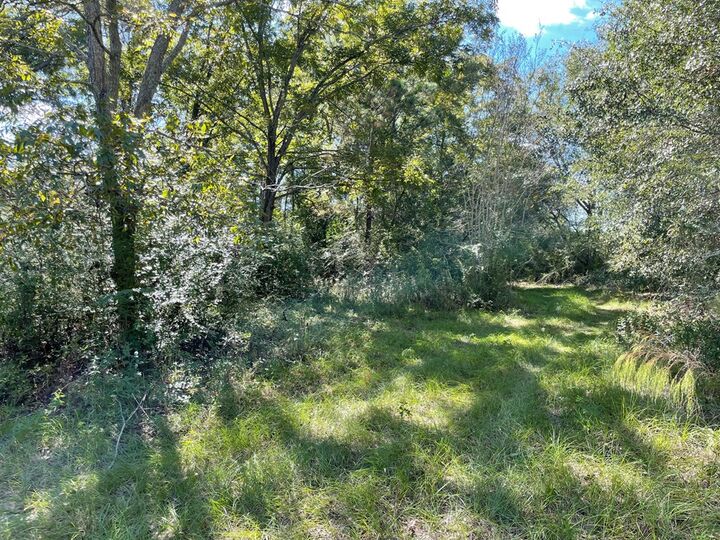 Property Photo:  573 Frank Road  GA 31750