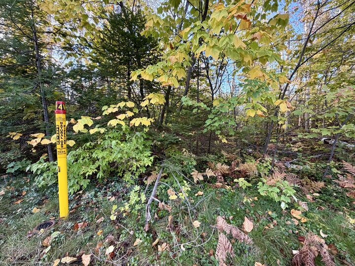 12074 US-23 Highway  Cheboygan MI 49721 photo