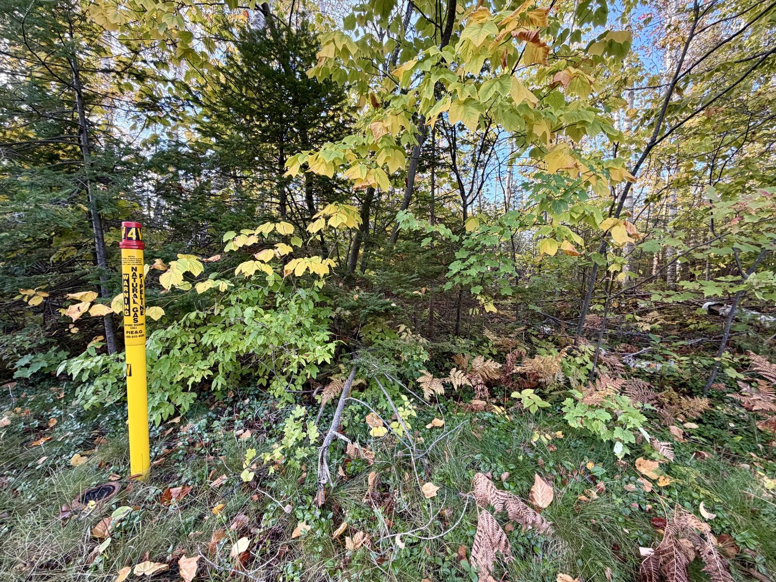 Property Photo:  12074 US-23 Highway  MI 49721 