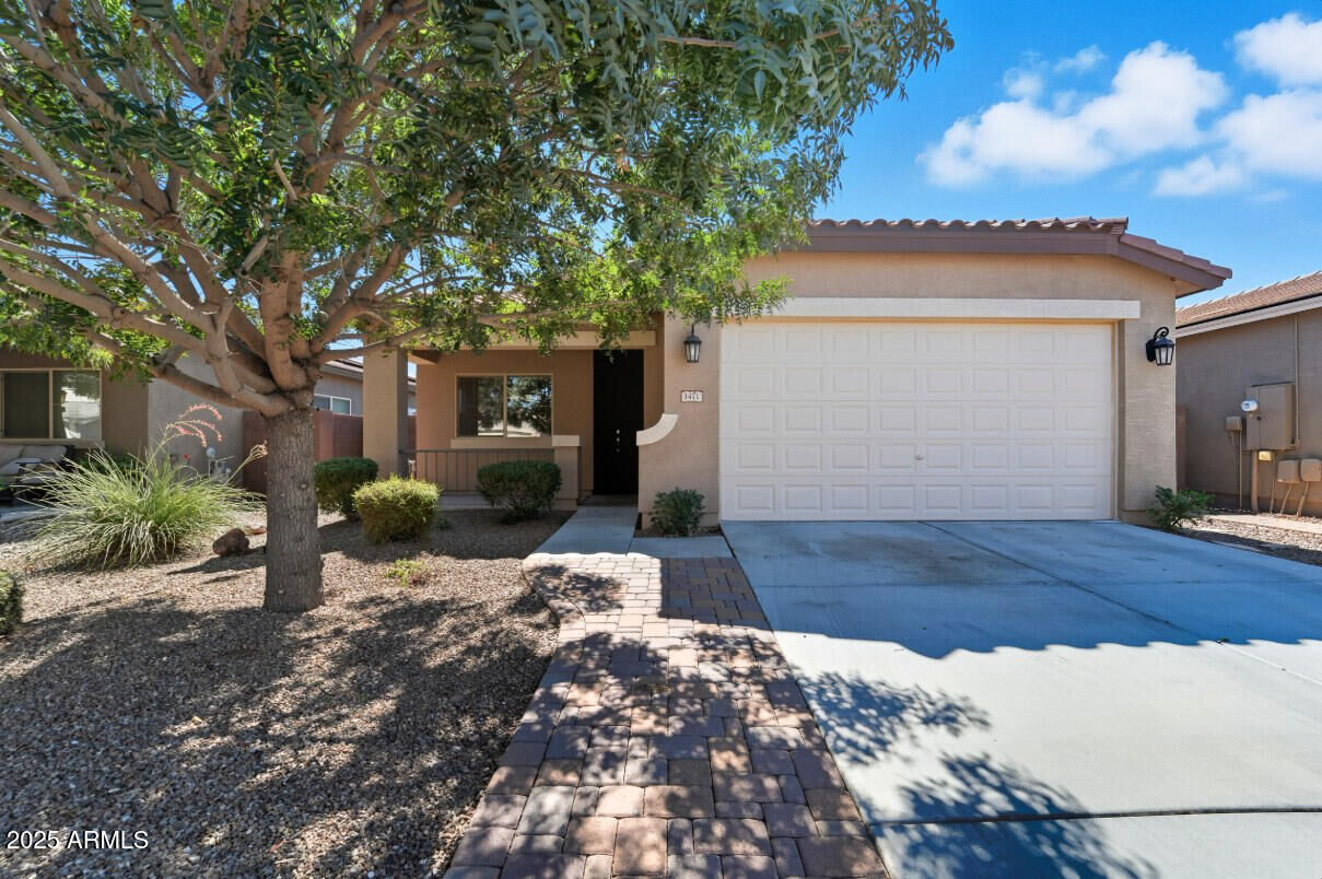 Property Photo:  1471 W Hoptree Avenue  AZ 85140