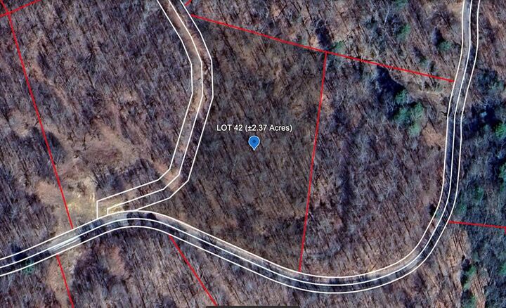 571 Flatwoods Road  Bragg WV 25918 photo