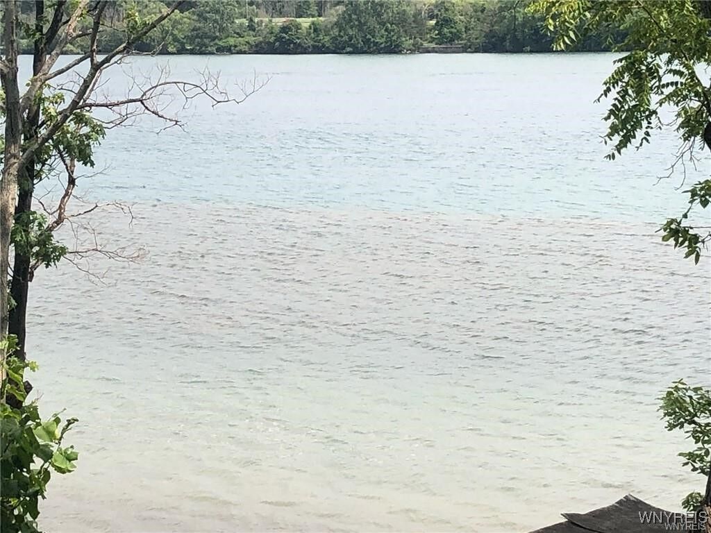 Property Photo: Vl East River NY 14072