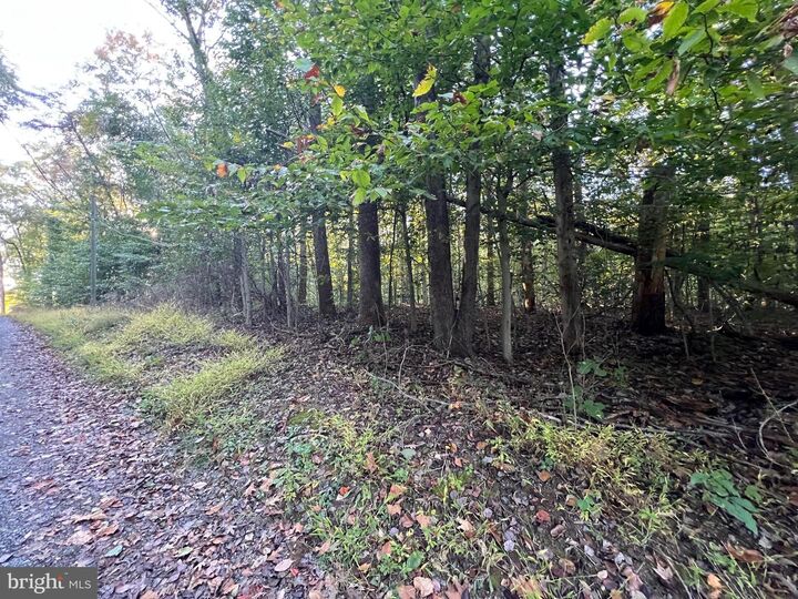 Property Photo: 8125 Pappas Drive VA 20112