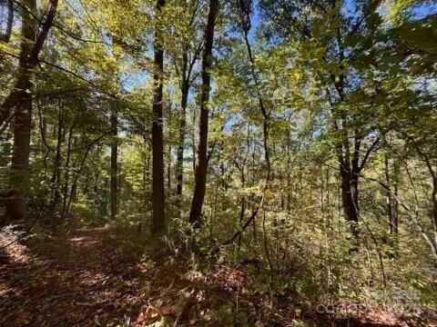 Property Photo:  99999 Moody Cove Road  NC 28787 