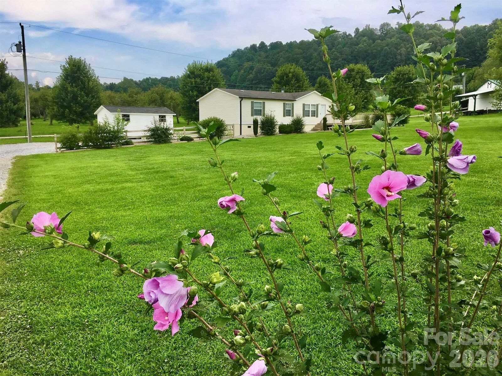 Property Photo:  41 Little Hungry Road  NC 28792 