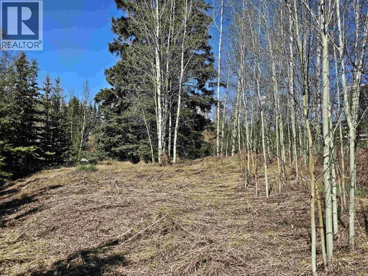 Property Photo:  101 5th Avenue  BC V0J 1E0 