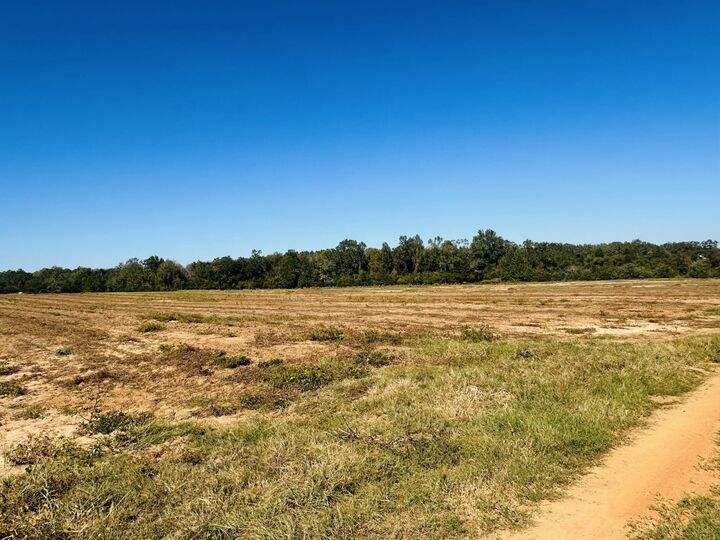 Property Photo: Lot 7 E Highway 2 Highway FL 32425