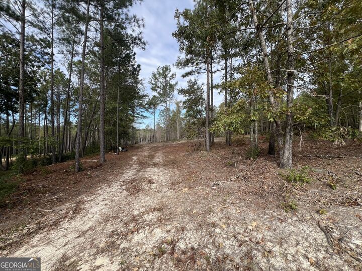 Property Photo:  3479 Bastonville Road  GA 30810