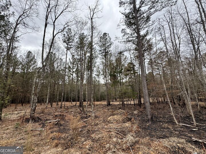 Property Photo: 3479 Bastonville Road GA 30810