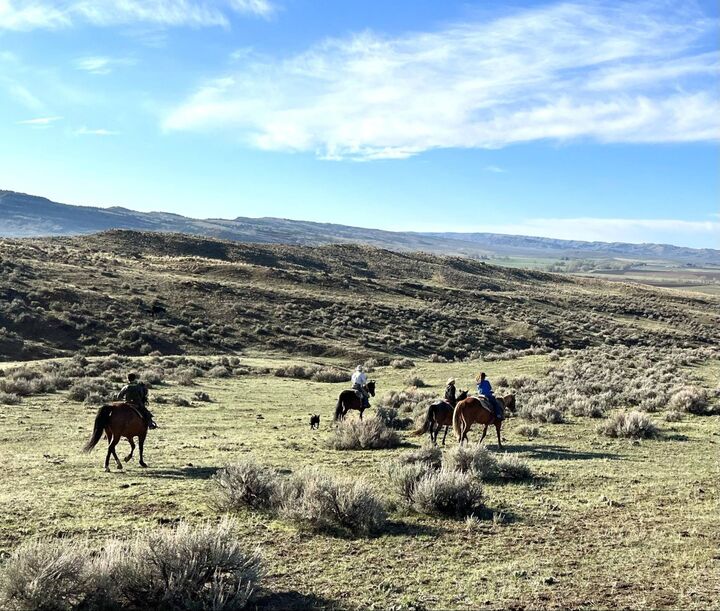 Property Photo:  60 Five Mile Creek Road  MT 59026 