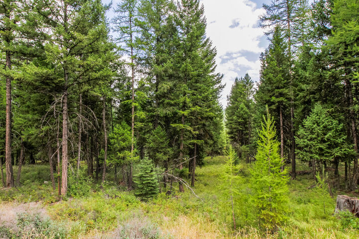 Property Photo:  250 Haskill Ranch Road  MT 59920 