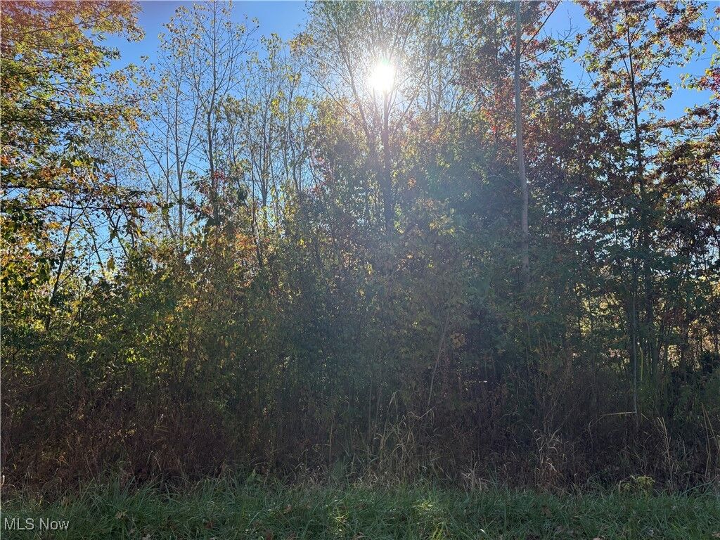 Property Photo: Pearl Avenue OH 44055