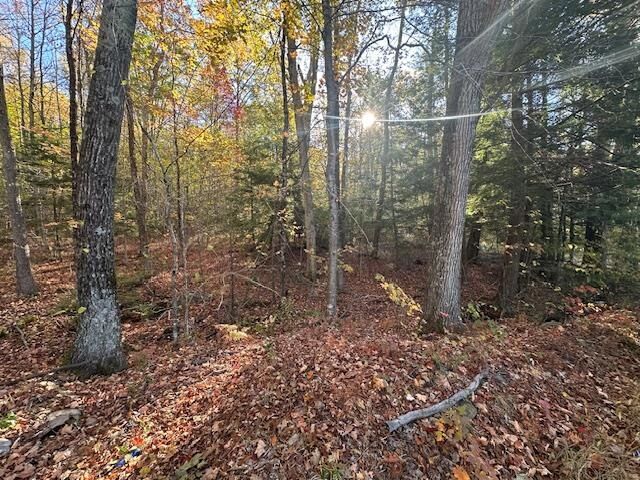 Property Photo:  0 Old Walpole Road  NH 03431 