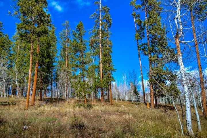 Property Photo:  1650 Falcon Circle  CO 80498