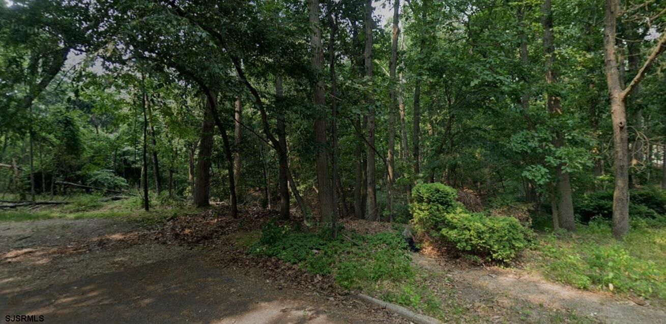 Property Photo: 0 W Woodburn Ave NJ 08021-6135