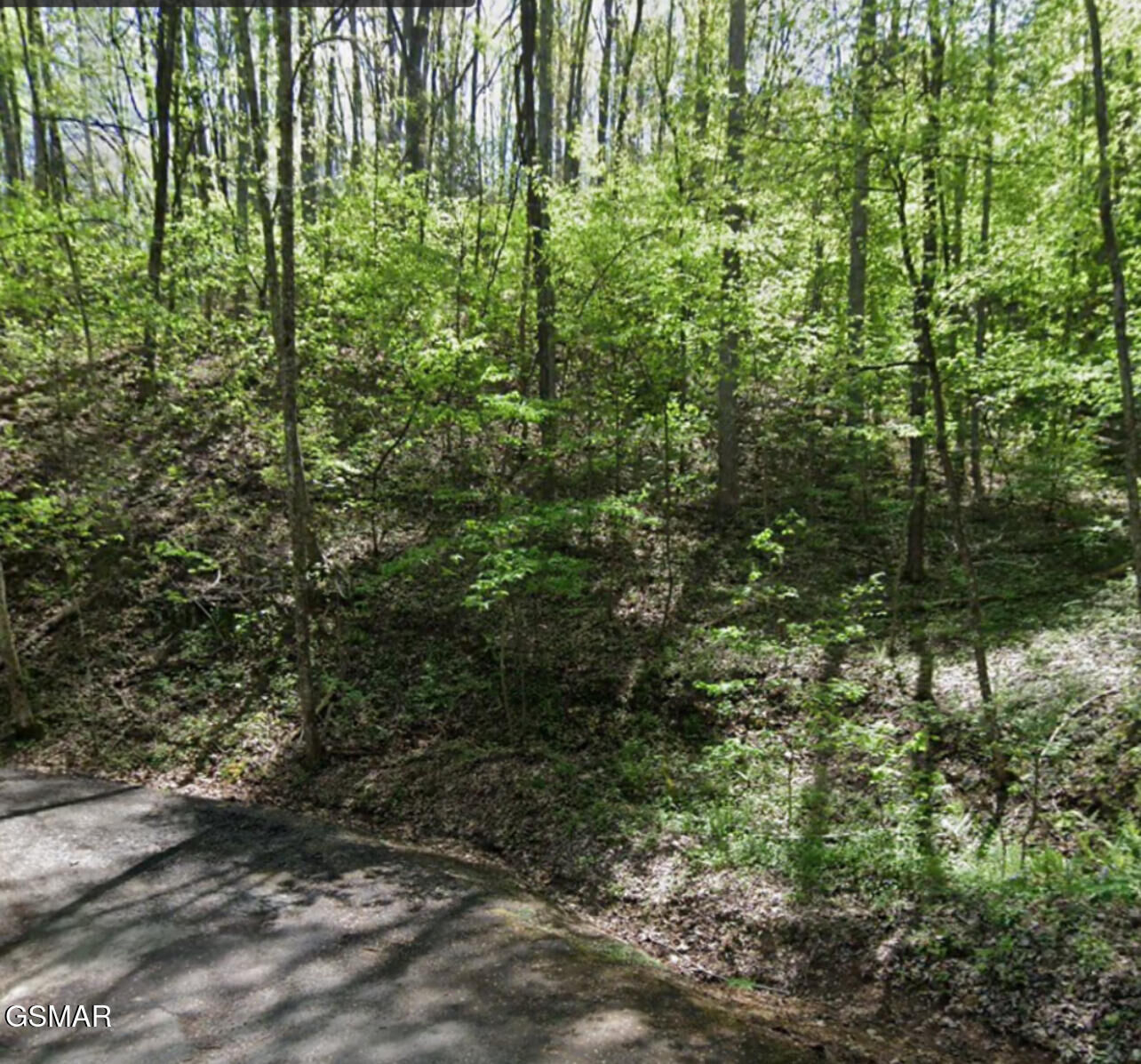 Property Photo: Lot 331 Ridgefield Drive TN 37876